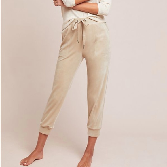 Anthropologie Other - Velour Jogger Lounge Pant Anthropologie